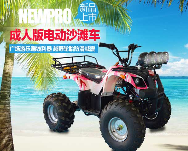 Adult Beach Buggy