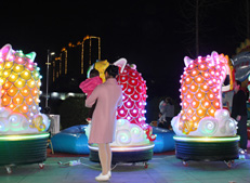 The lion is running the amusement equipment