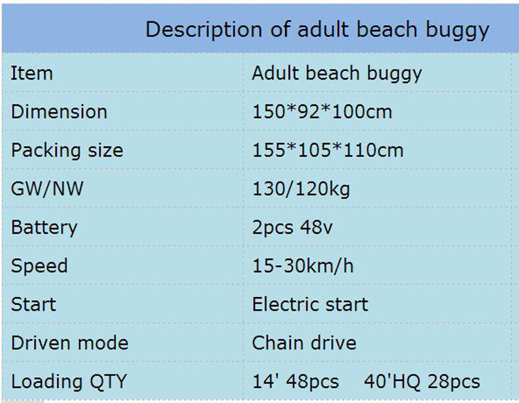 adult beach buggy